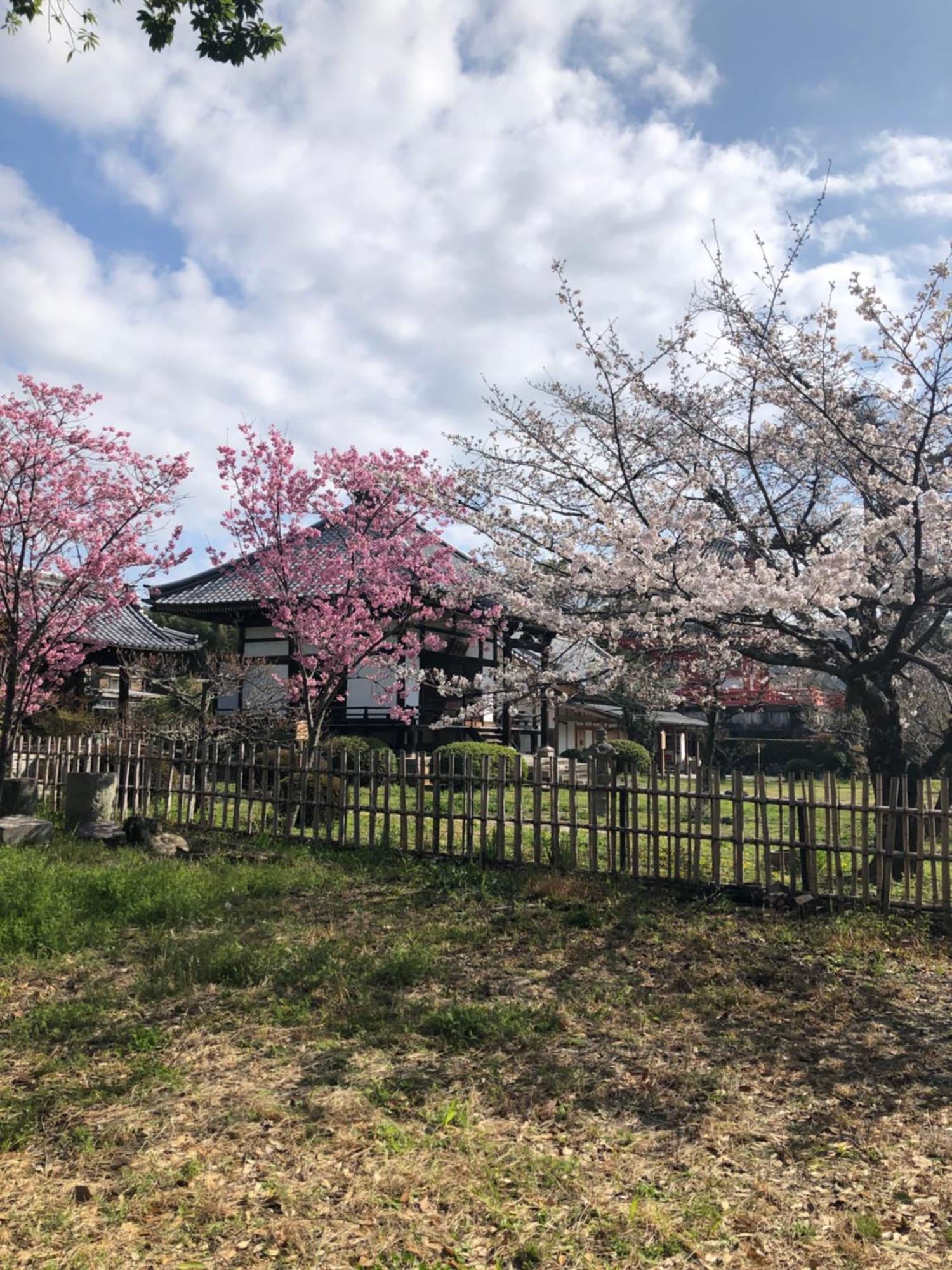 Tsubame-Ya Hotel Kyoto Exterior photo
